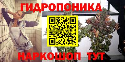 ALPHA PVP Обнинск